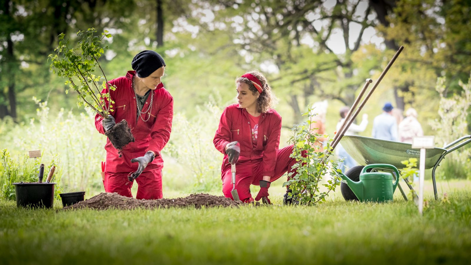 „Frau Holles Garten“ TopQuote und sehr viele Online